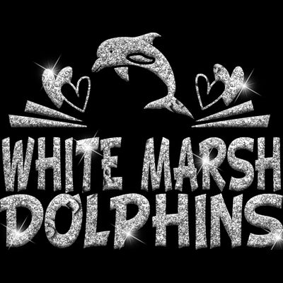 GLT88 SILVER GLITTER Thumbnail