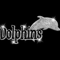 GLT17 SILVER GLITTER Thumbnail