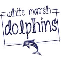 GLT90 BLUE GLITTER Thumbnail